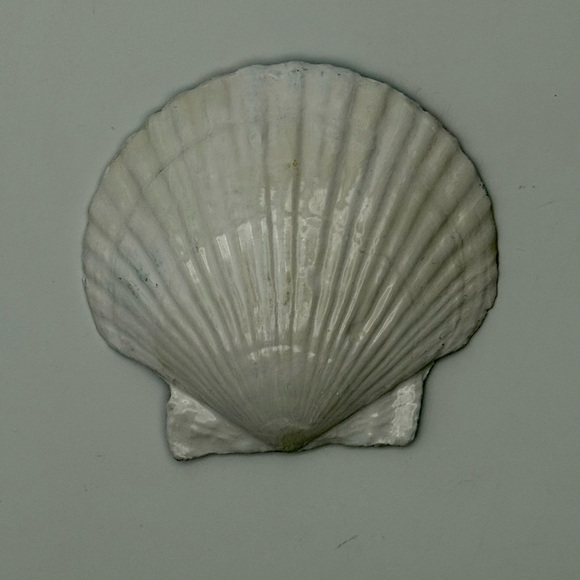 Coastal Regatta Lighthouse Shell Art ⛵ - Picture 7 of 7